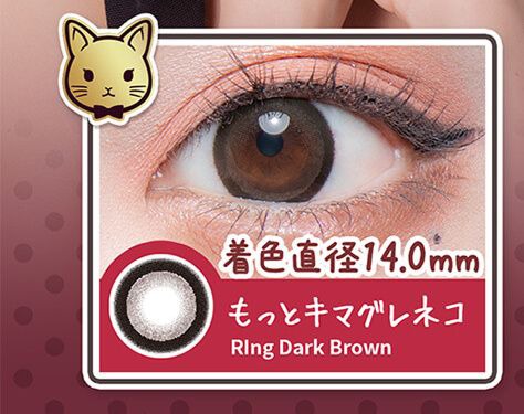 もっとキマグレネコ