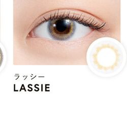 ラッシー