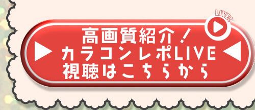 レポライブ
