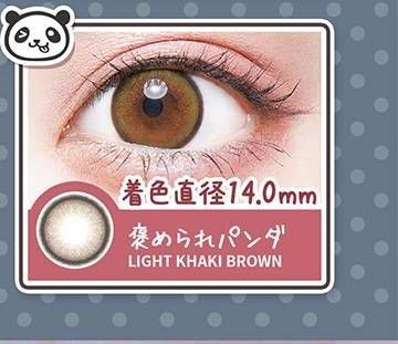 褒められパンダ/Light Khaki Brown