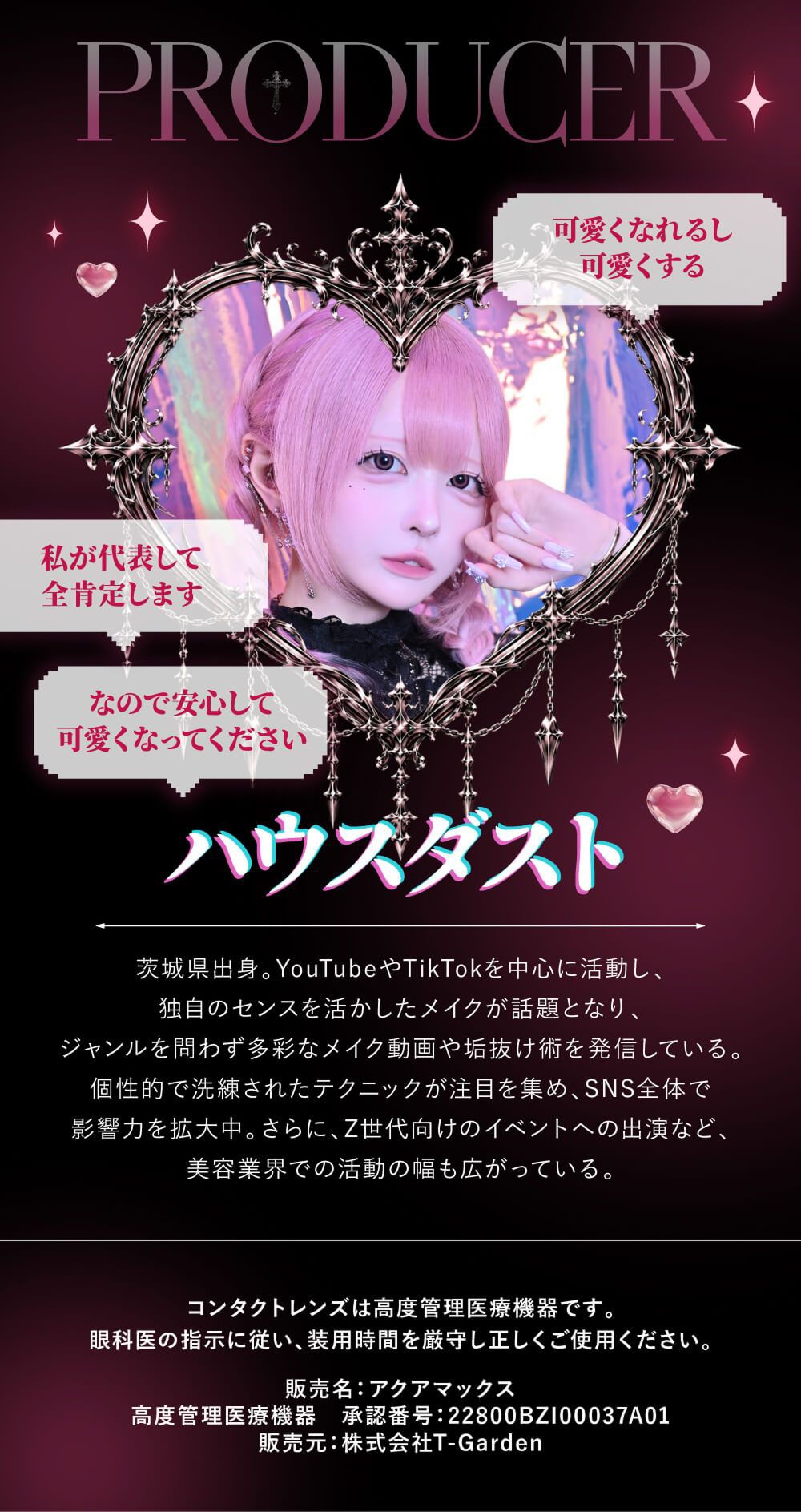 ハウスダスト