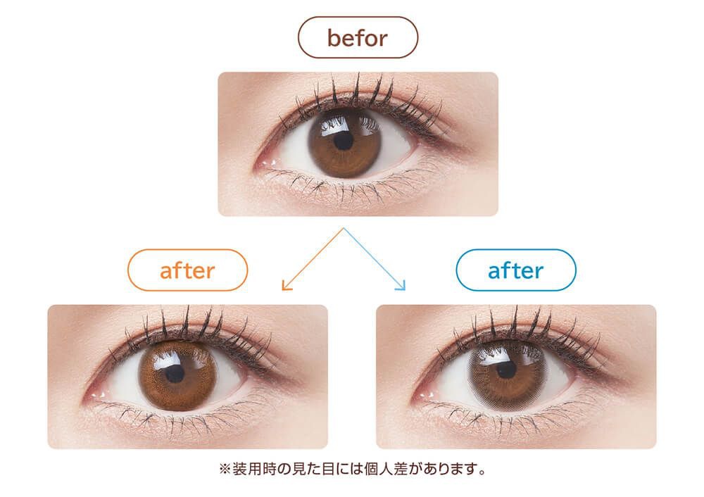 ラインナップ