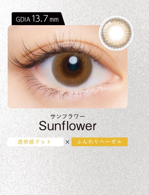 サンフラワー