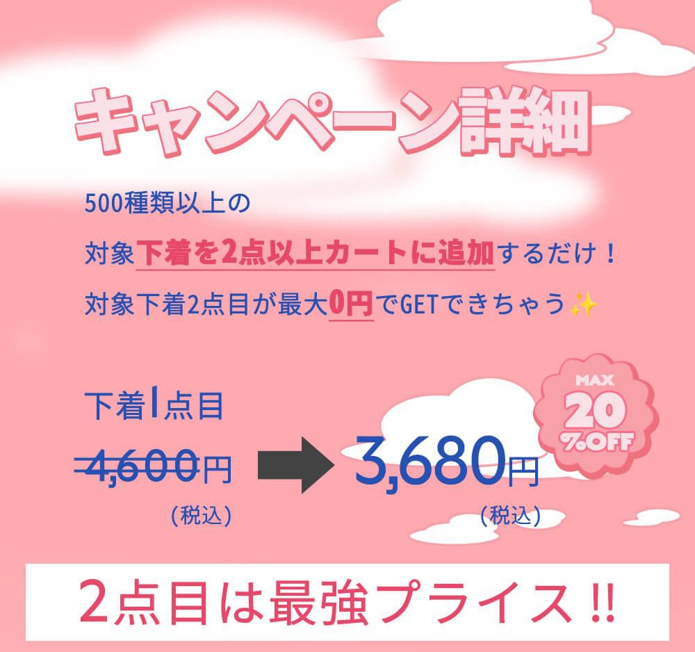 説明
