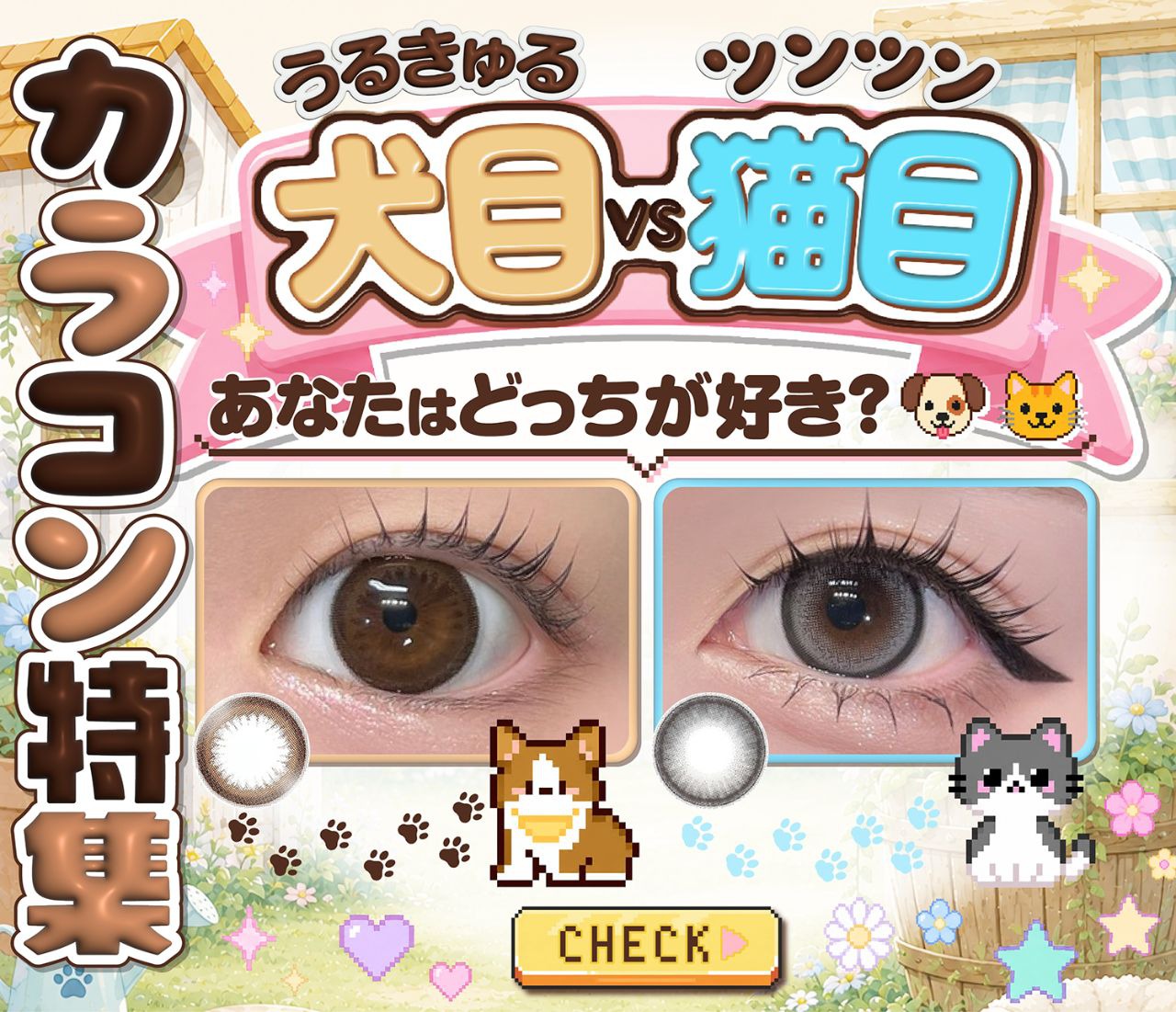 犬目vs猫目カラコン特集