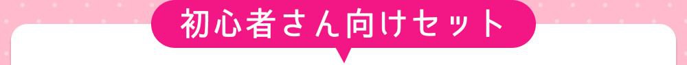 初心者向けセット