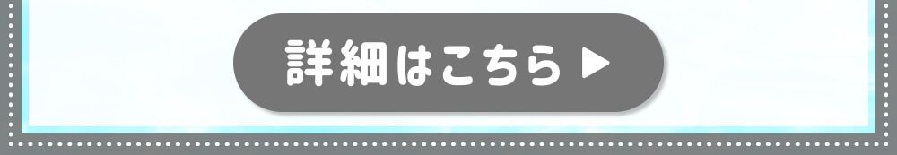 詳細