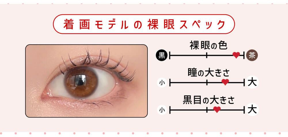 サンプルスペック