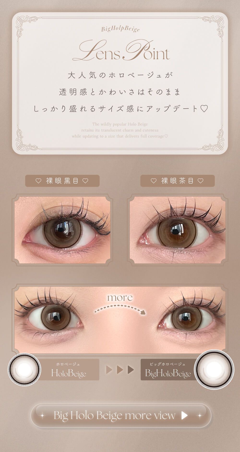 ビッグホロベージュ