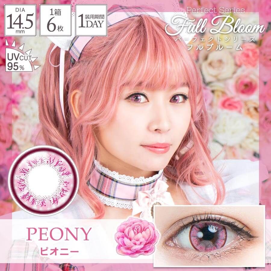 パーフェクトシリーズ フルブルームワンデー（Perfect Series