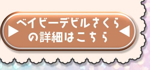 詳細はこちら