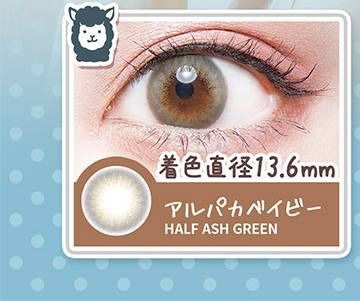 アルパカベイビー/Half Ash Green
