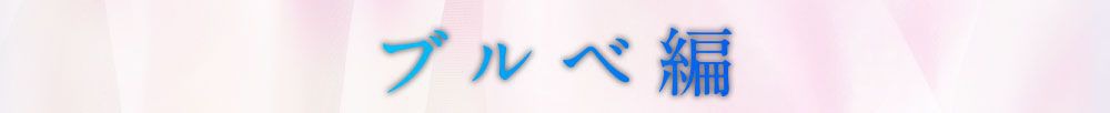 ブルベ編