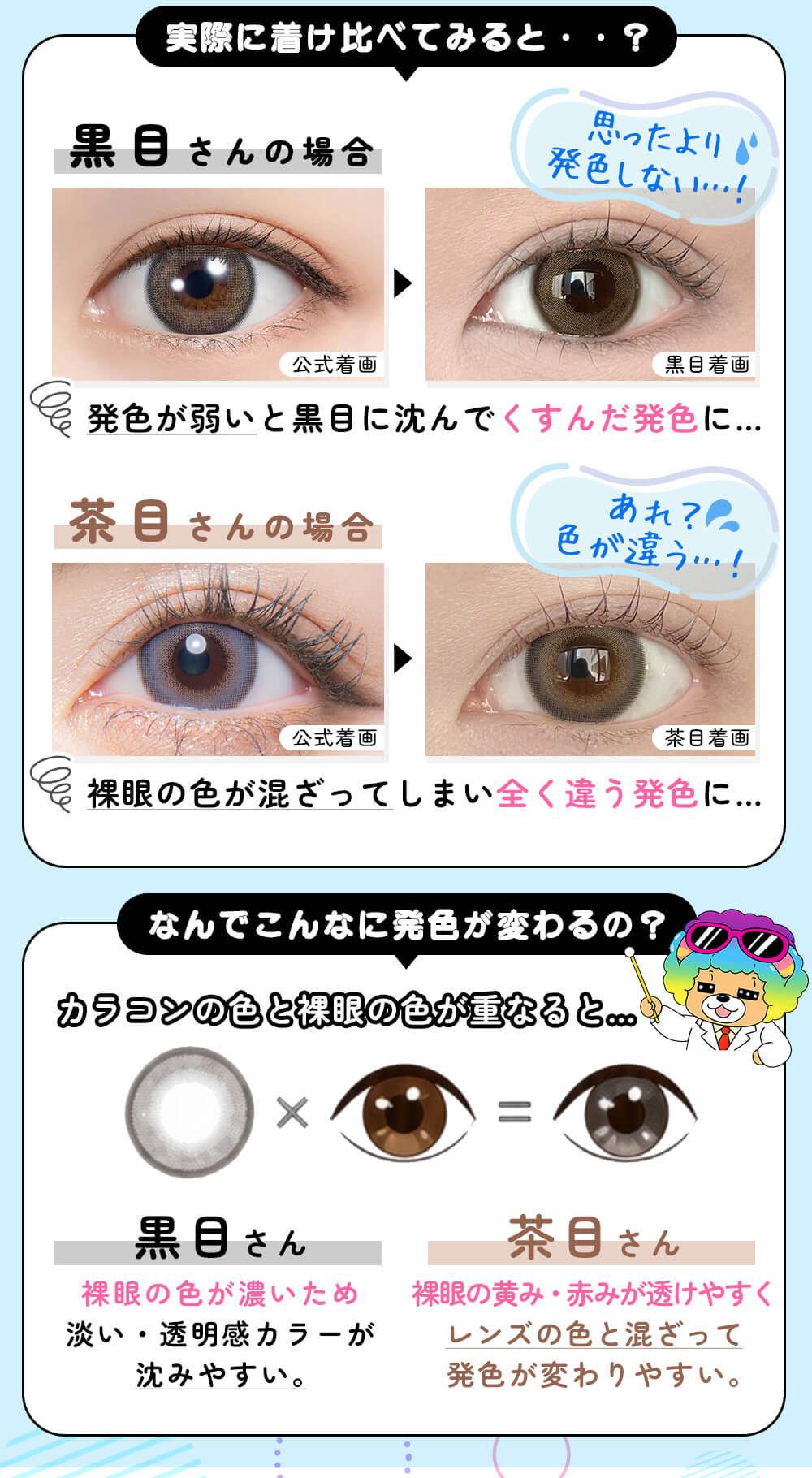 実際に比べてみると
