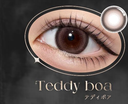 テディボア
