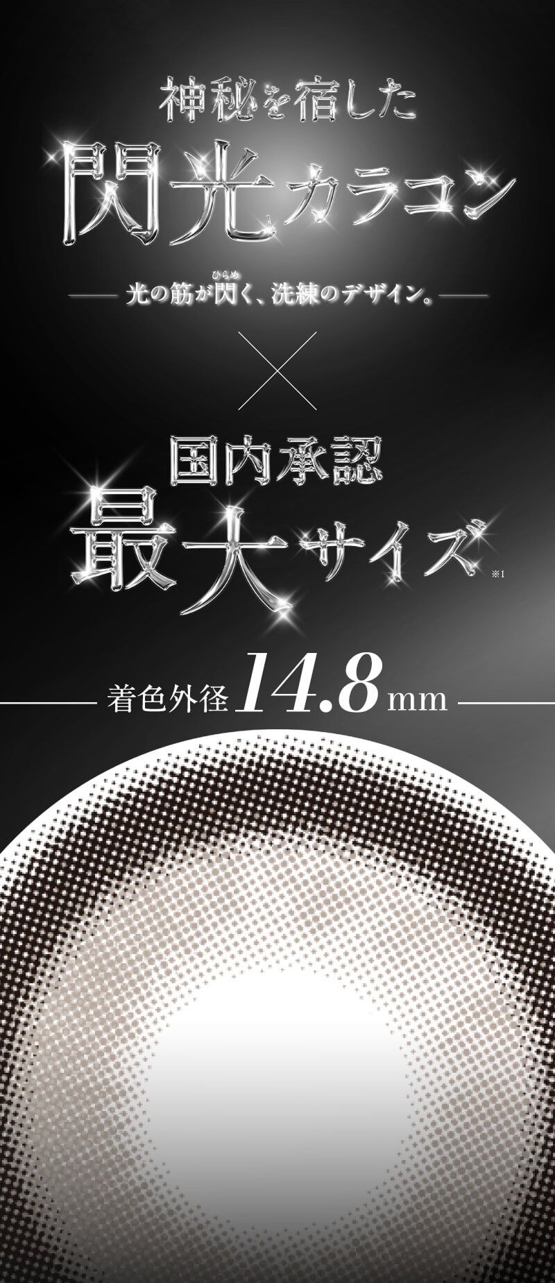 国内承認最大サイズ