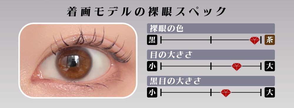 モデル裸眼スペック