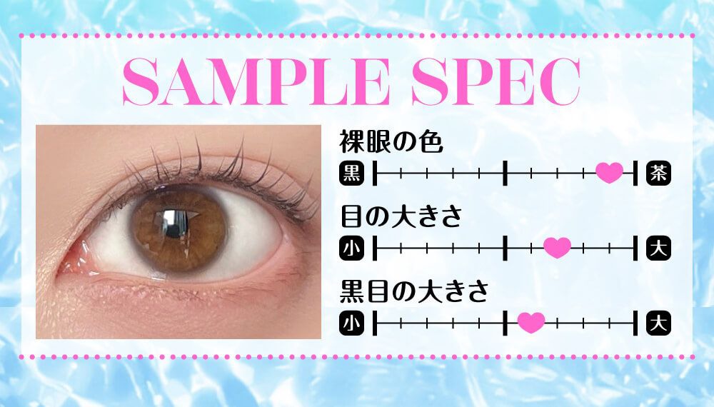 着画スタッフの裸眼スペック