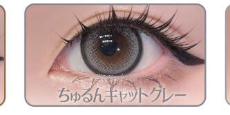 ちゅるんキャットグレー