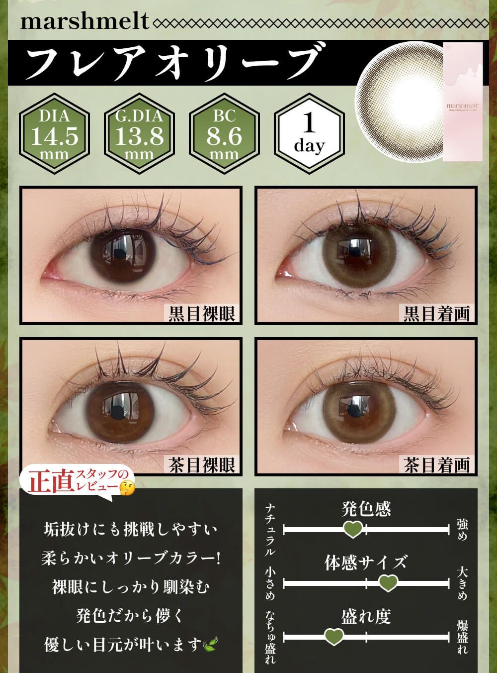 フレアオリーブ