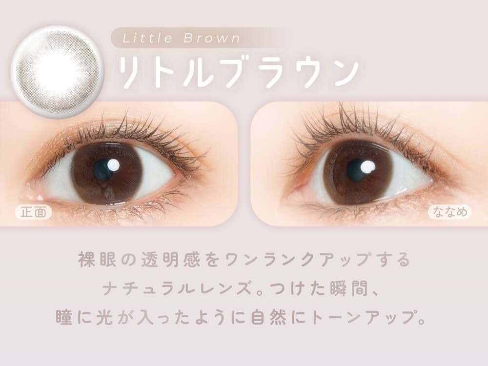 リトルブラウン