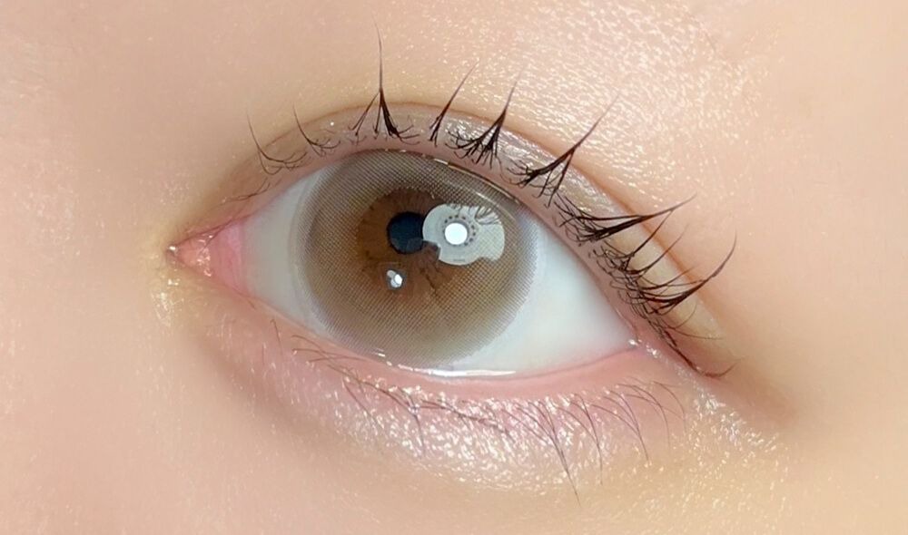 モフロール着画