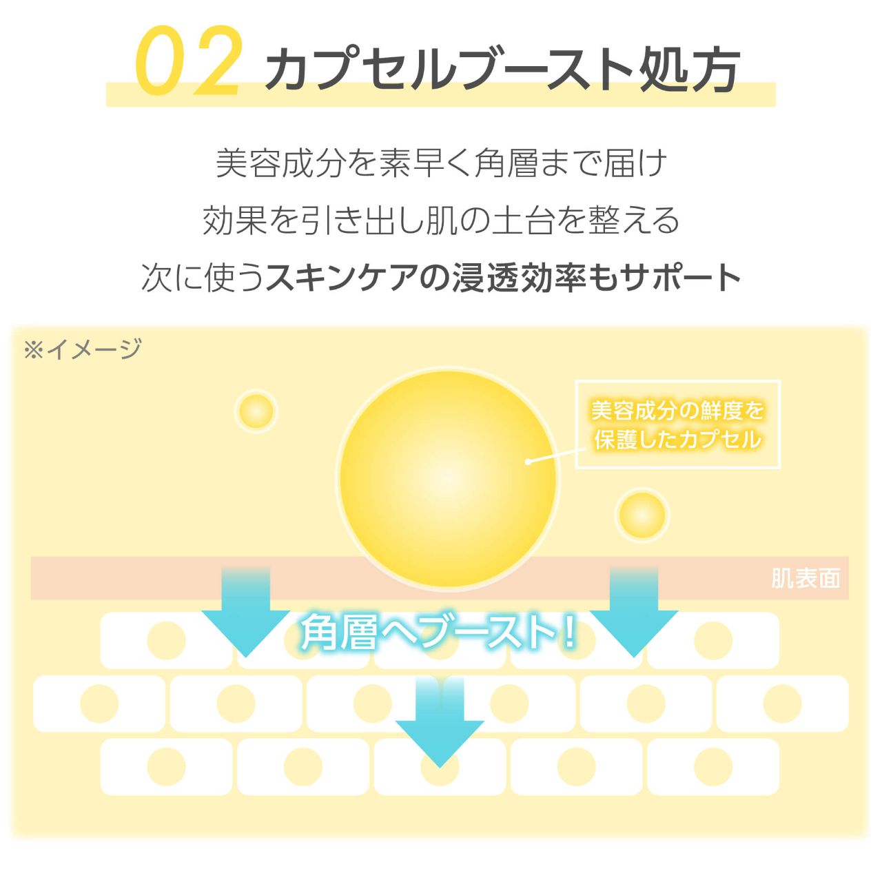 ハダファンド グルビタカプセルイントナー（HADAFnd.） グルビタカプセルイントナー