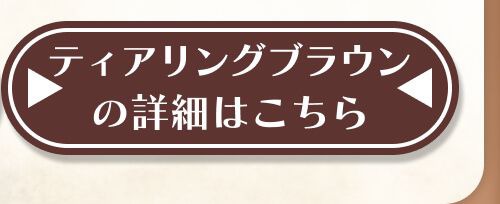 詳細はこちら