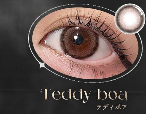 テディボア