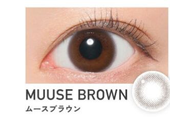 ムースブラウン