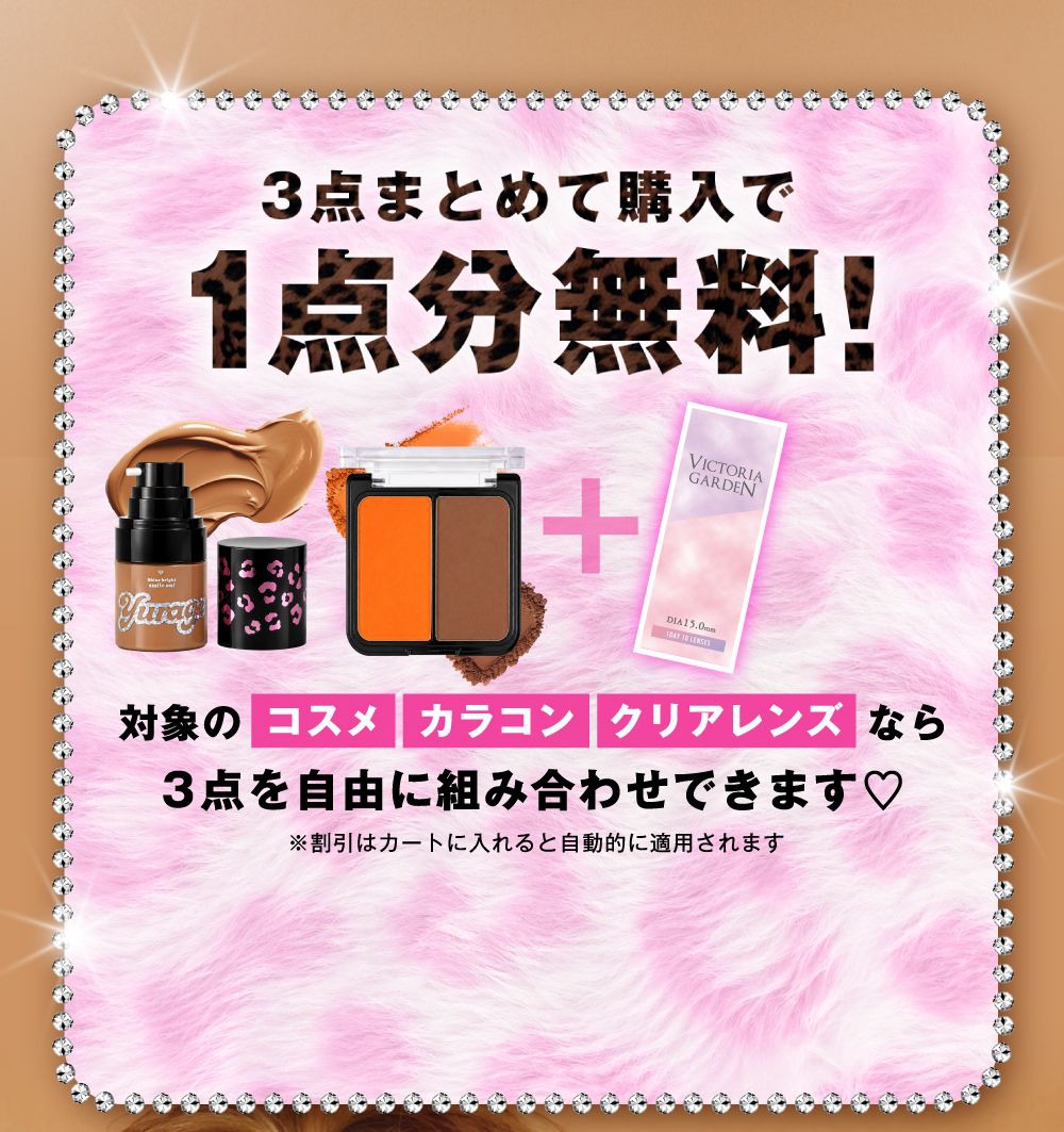 バンドル1