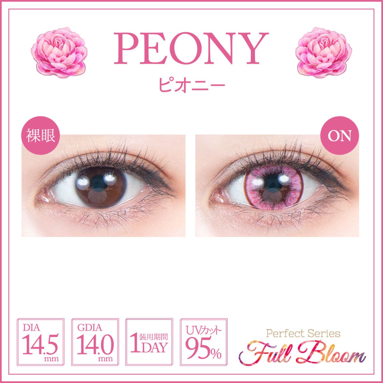 パーフェクトシリーズ フルブルームワンデー（Perfect Series