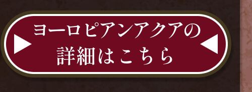 詳細はこちら