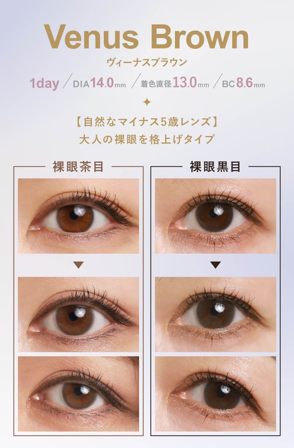ヴィーナスブラウン