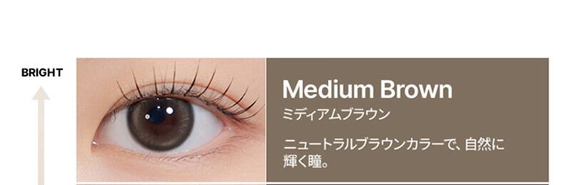 ミディアムブラウン