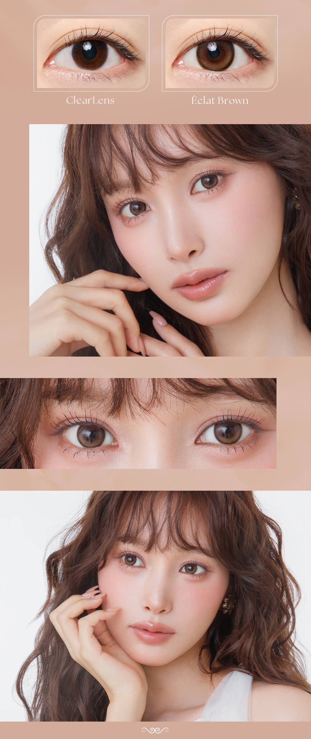 エクラブラウン