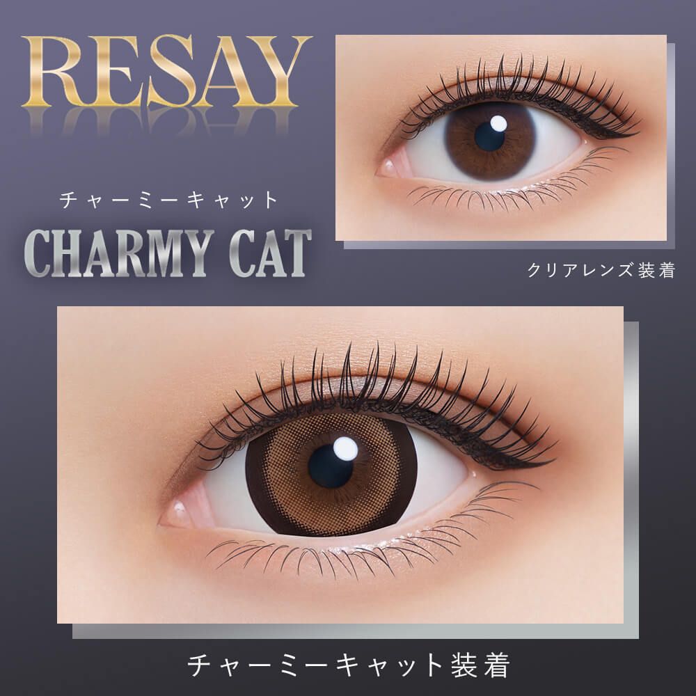 リセイ（RESAY） チャーミーキャット
