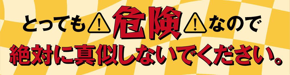 とっても危険なので絶対に真似しないでください