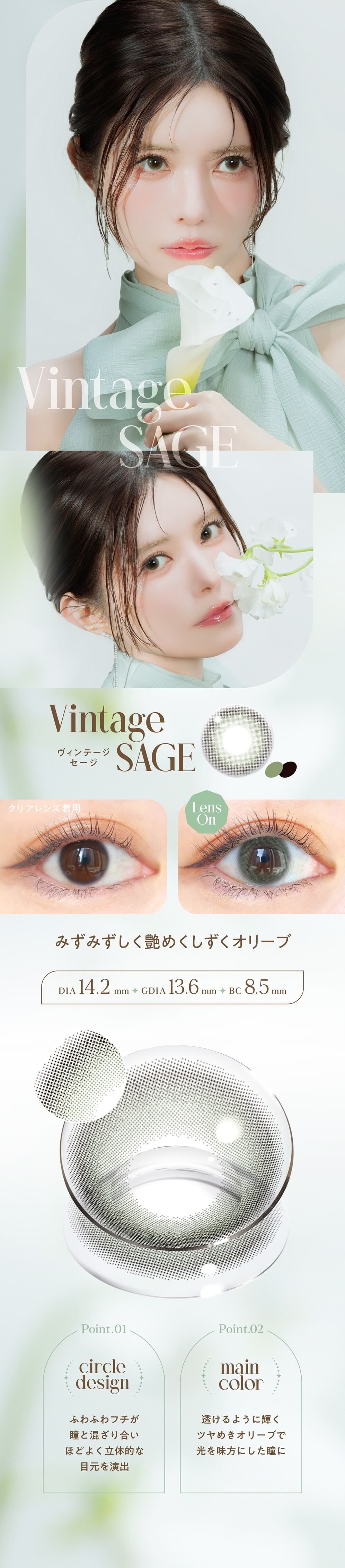 ヴィンテージセージ