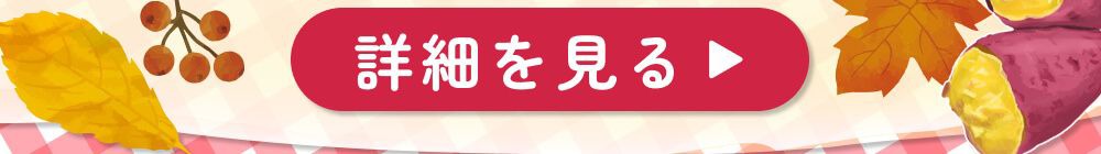 詳細