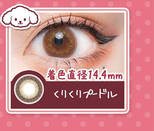 くりくりプードル