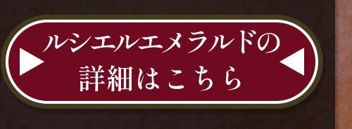 詳細はこちら