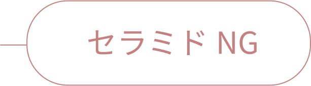 rainymell mewmeltgloss