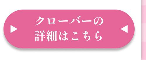 詳細はこちら