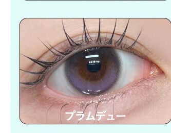 プラムデュー