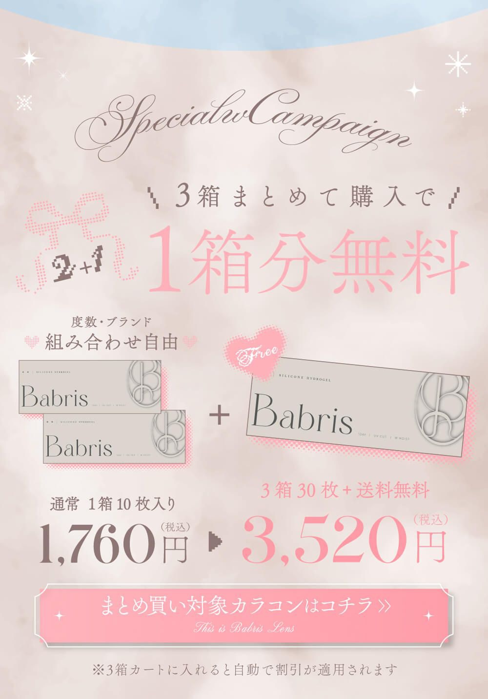 ワンデーバンドル