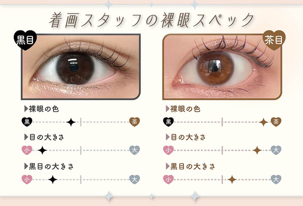 着画スタッフの裸眼スペック