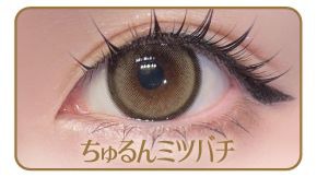 ちゅるんミツバチ