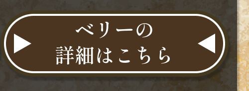 詳細はこちら