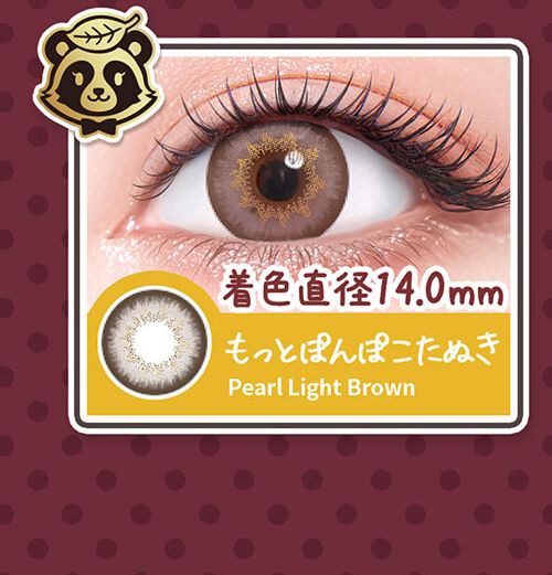 もっとぽんぽこたぬき